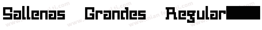 Sallenas Grandes Regular字体转换